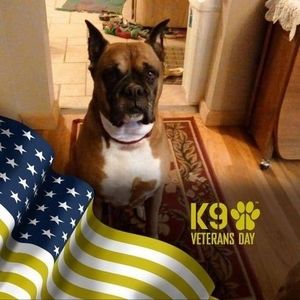 Meet your Posher, Penny